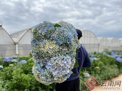 又解锁网红打卡圣地,还不看过来